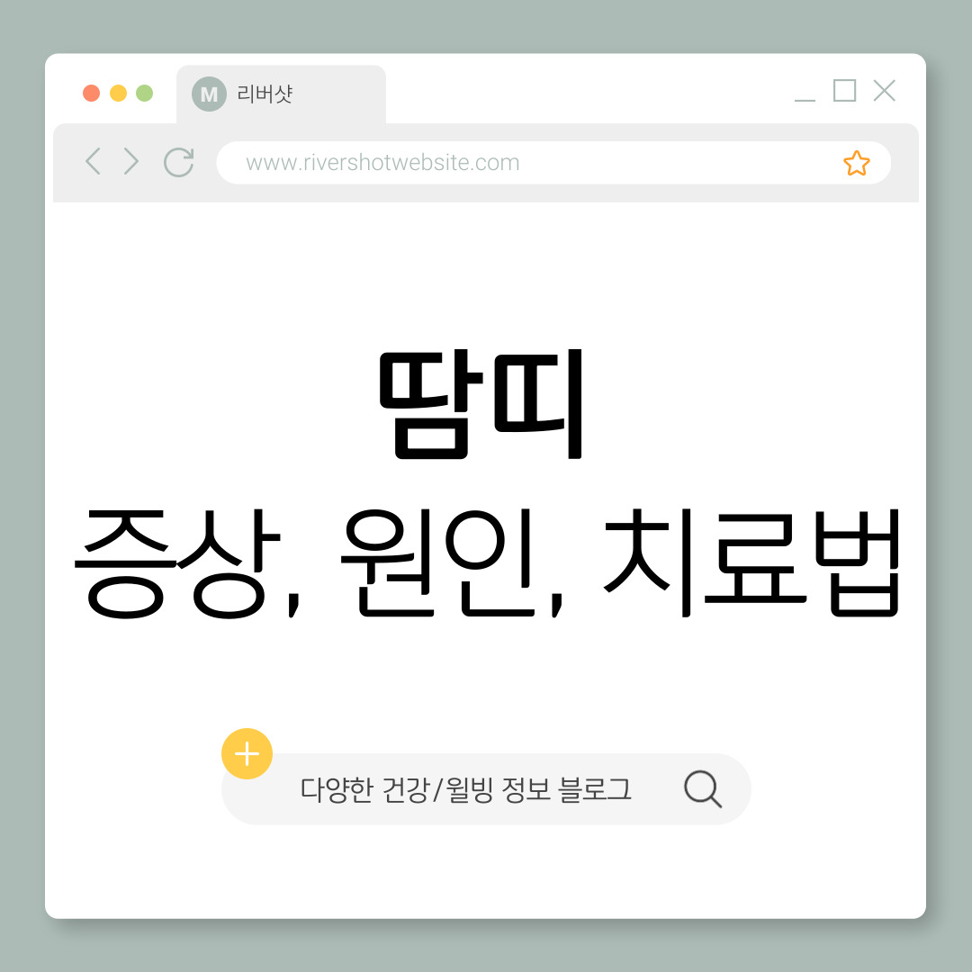 썸네일 이미지