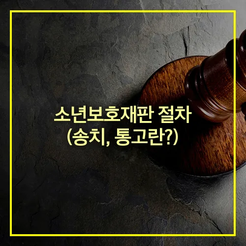 소년보호재판 절차