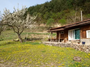 백설희 봄날은 간다 가사 노래 무료듣기_13