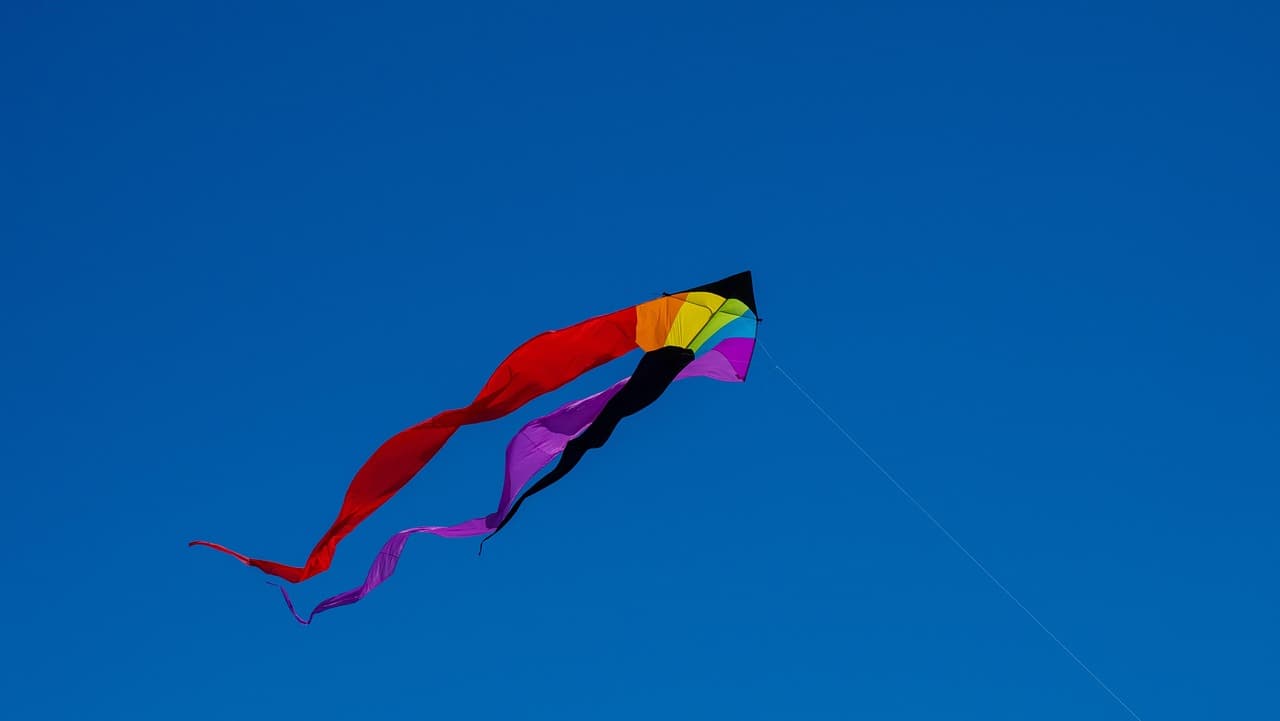 중국 학자들의 음식 인문학(食療) 담론과 현대 영양학