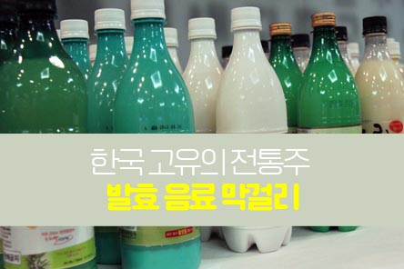 막걸리-썸네일