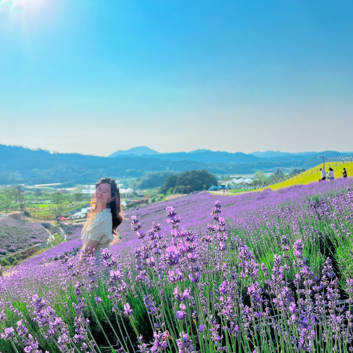 라벤더 정원을 배경으로 한 나의 인생사진