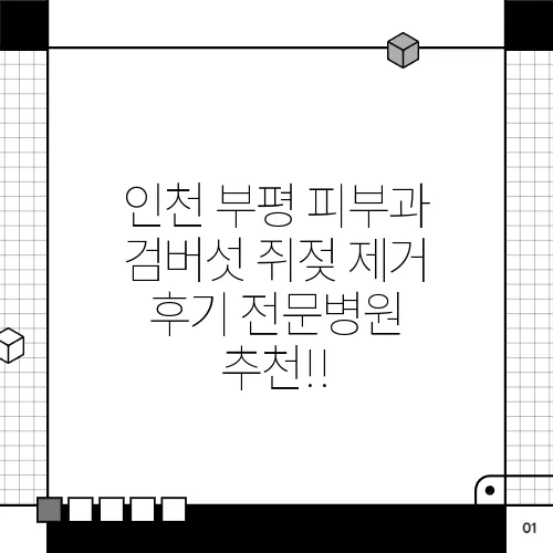 인천 부평 피부과 검버섯 쥐젖 제거 후기 전문병원 추천!!