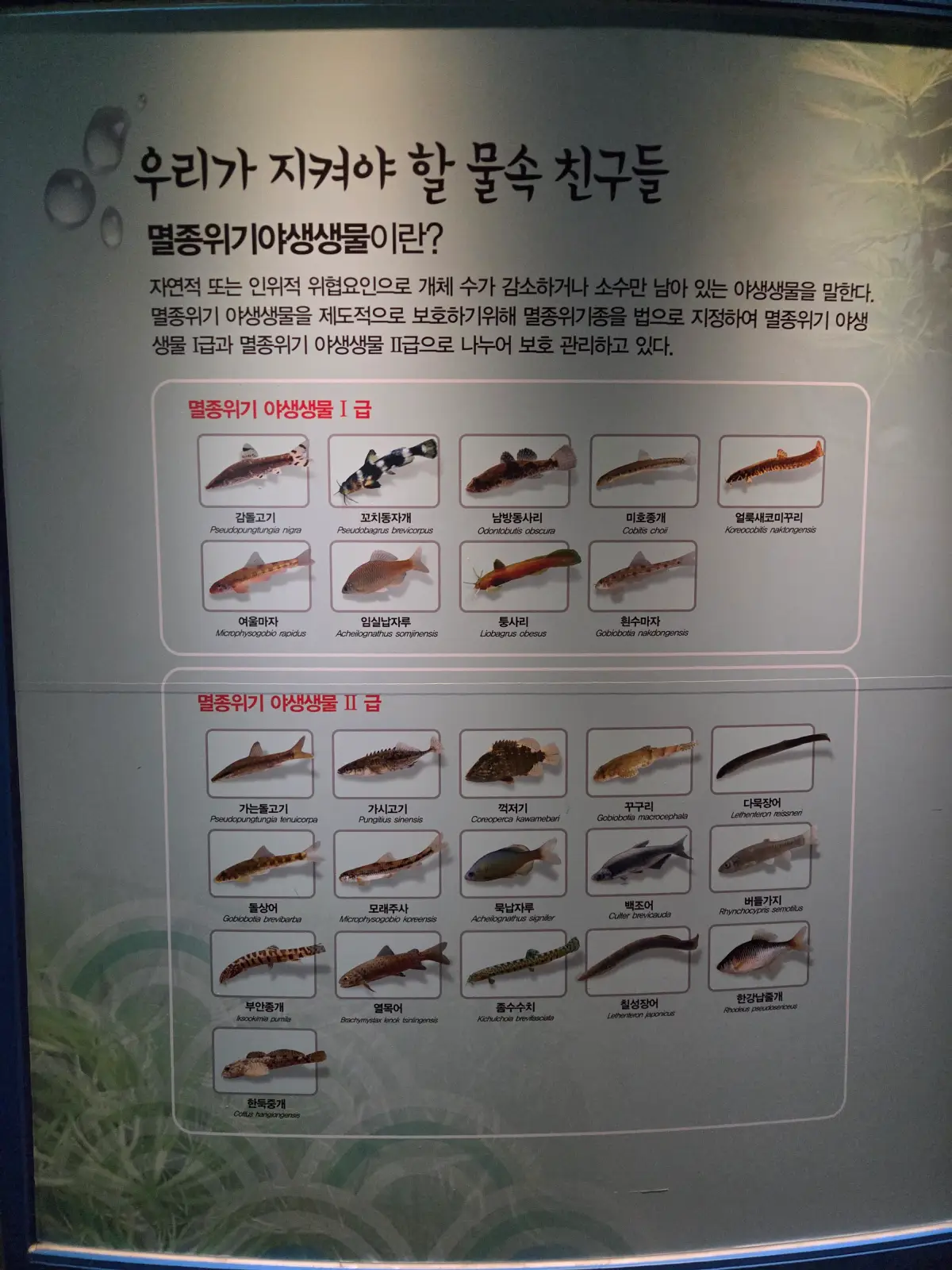 다누리아쿠아리움01