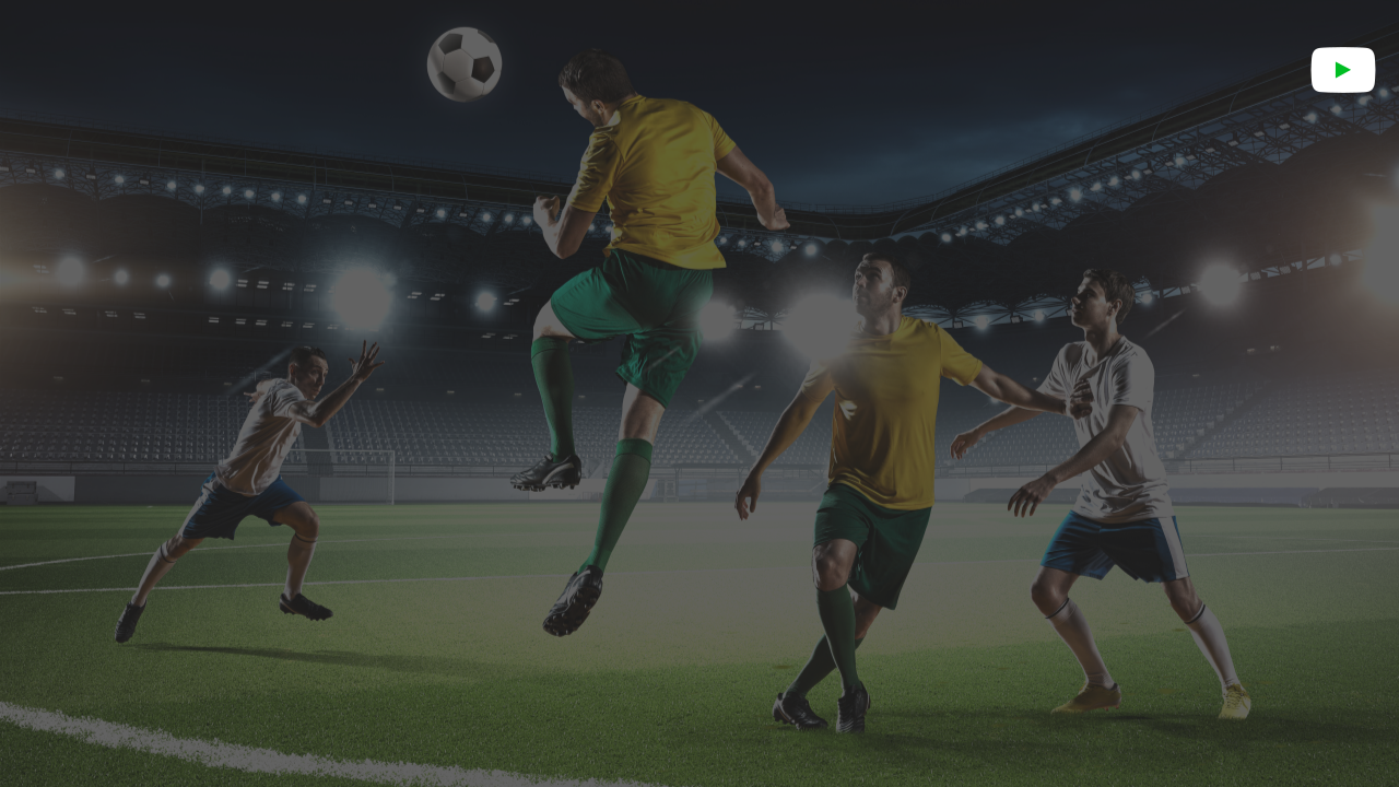 스포츠관련사진