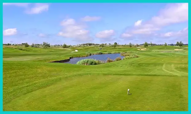 골프 스윙 동영상 추천