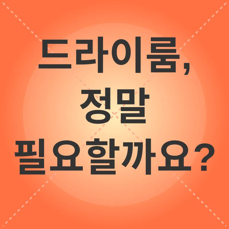 고양이 드라이룸_1