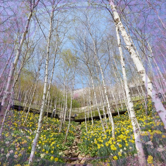 화담숲 예약방법