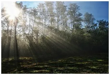 새벽에듣기좋은노래