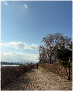 남대천