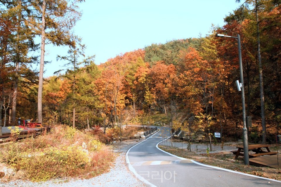 강원도 국립 화천숲속야영장 소개