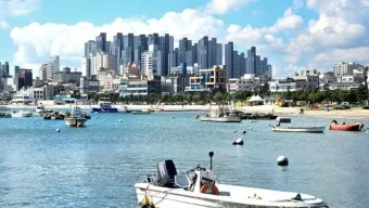 울산 가볼만한곳 베스트 10 여행 명소_14