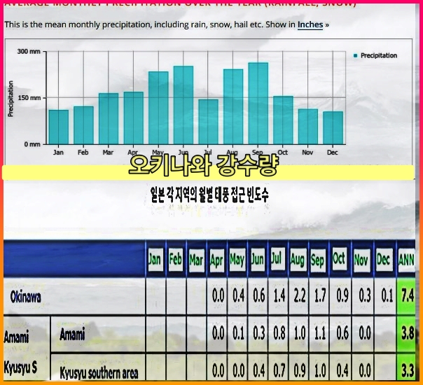 오카나와태풍-주기