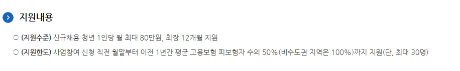 청년일자리도약장려금