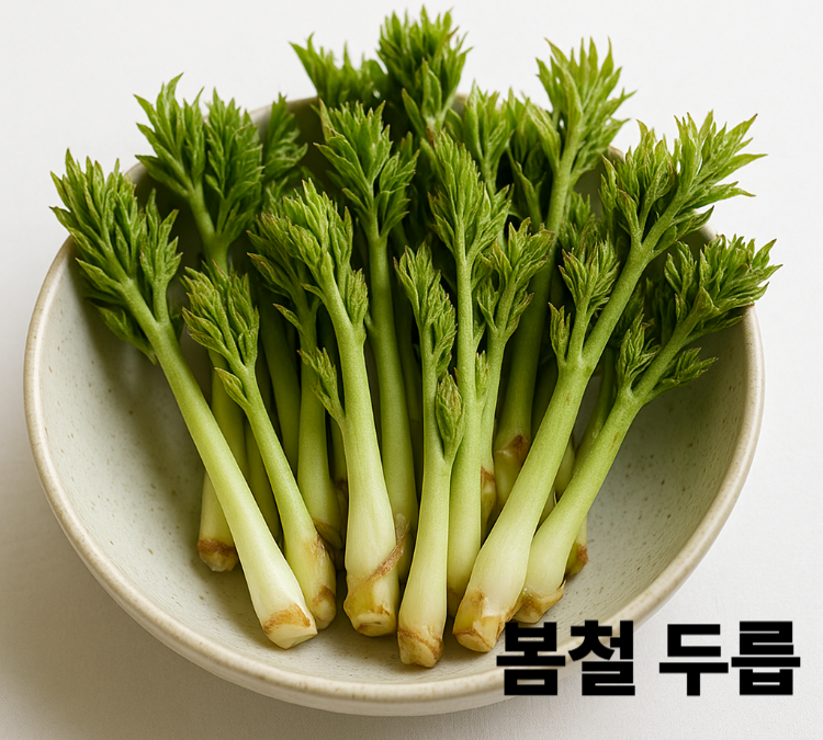 피로회복 면역력강화 항산화성분이 세포노화예방 봄철 두릅 효능 영양성분 보관법