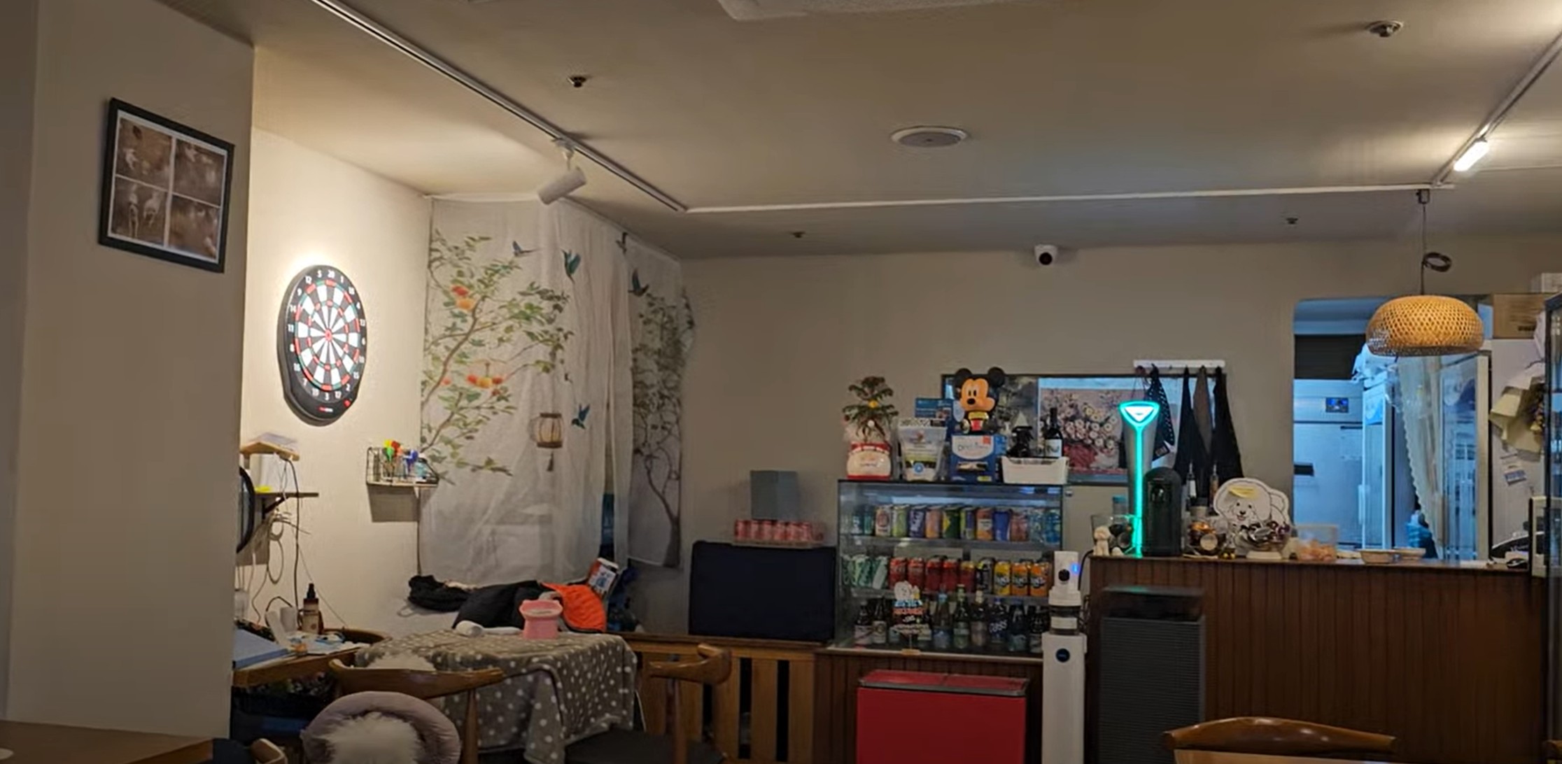 태평하개 - 애견과 함께하는 술집