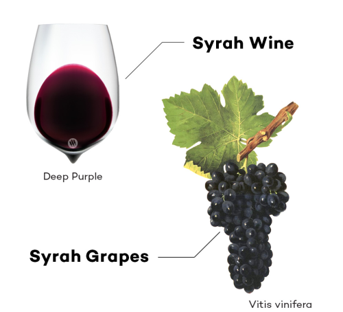 Syrah