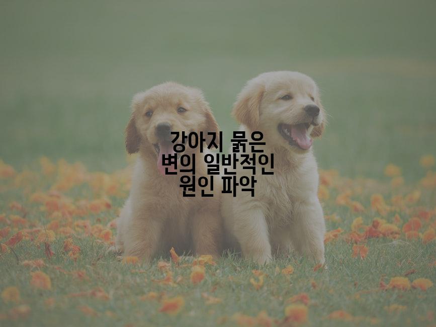 강아지 묽은 변의 일반적인 원인 파악