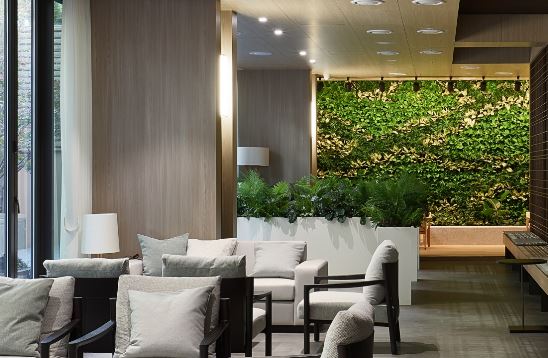 무릎줄기세포주사 병원추천 전국단위(서울,남양주,인천,용인,대전,청주,대구,부산)