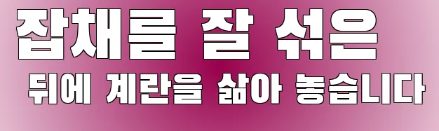 잡채를 잘 섞은 뒤에 계란을 삶아 놓습니다