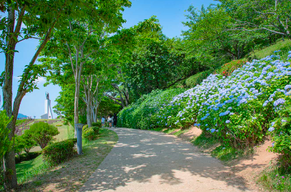 경상권 수국명소 추천 7곳, 여름의 정취를 만끽할 수 있는 곳