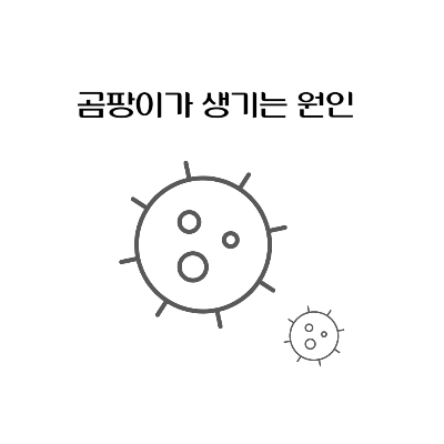 곰팡이-원인-제거-예방-벽지-욕실-베란다