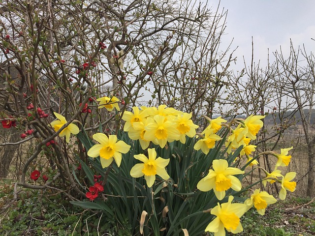 여수 오동도 관련 사진