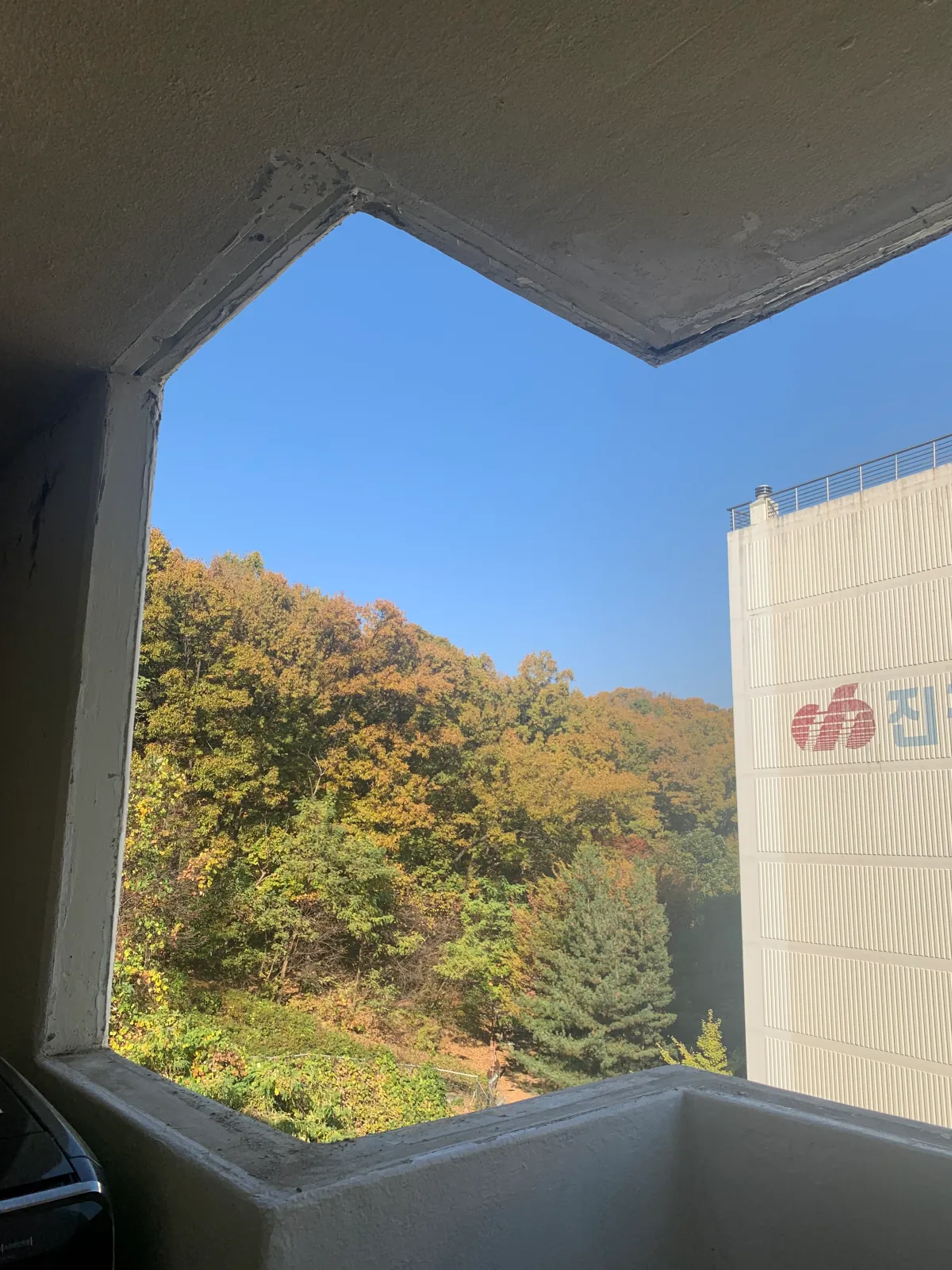 세탁실-창호-제거후-하늘