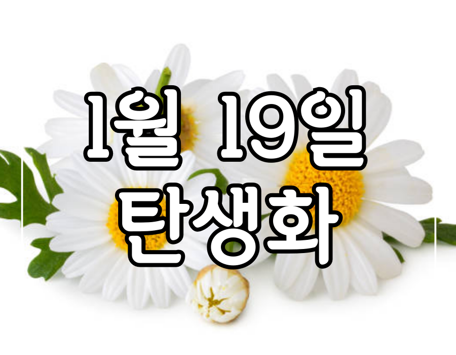 이 이미지는 1월 19일 탄생화에 관한 포스팅의 대표 이미지입니다.