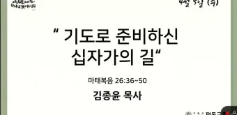십자가의 길 기도 14처 순서와 예수님의 고난을 깊이 묵상하는 영적 여정_18