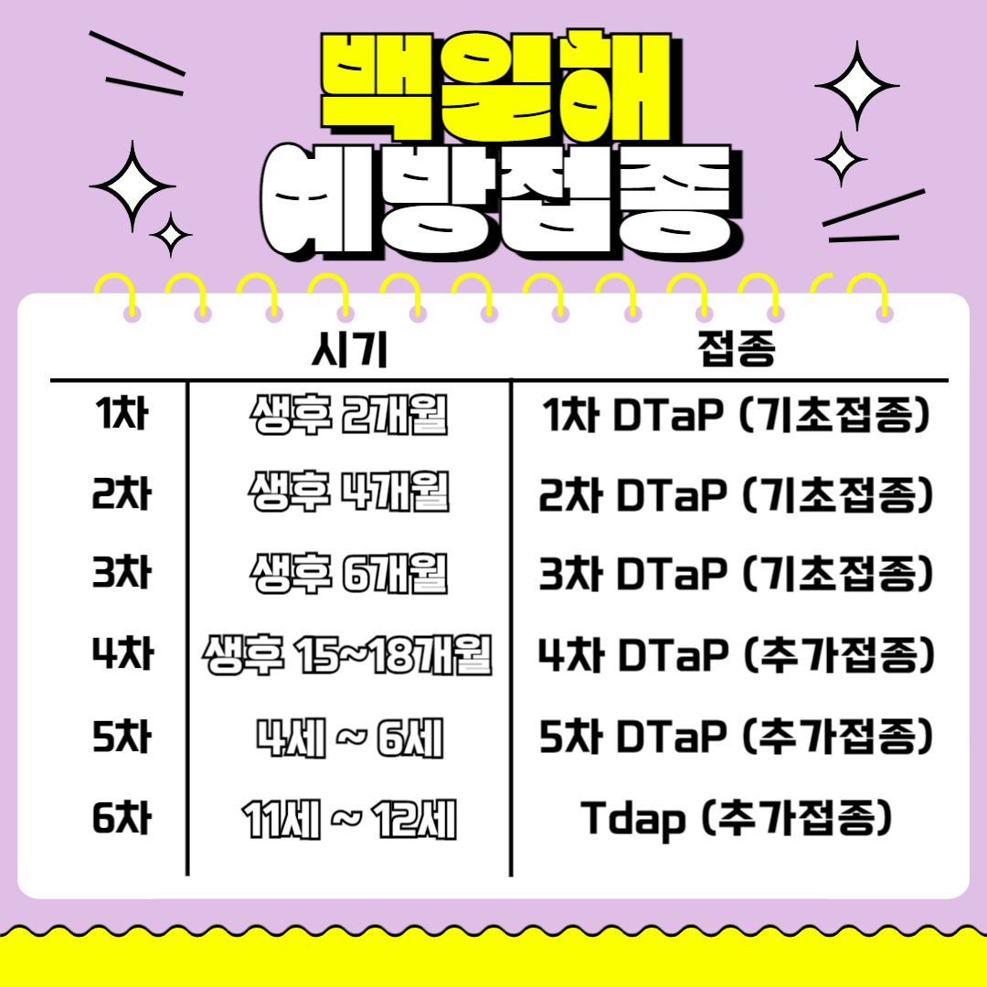 성인 아기 백일해 예방접종 시기 가격