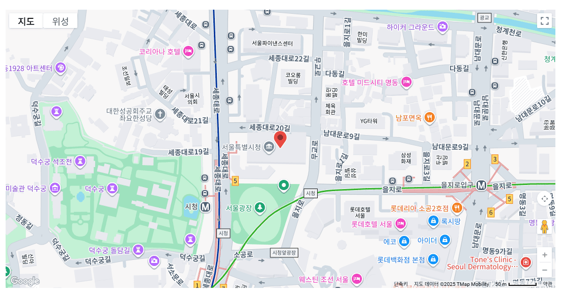 서울광장 스케이트장