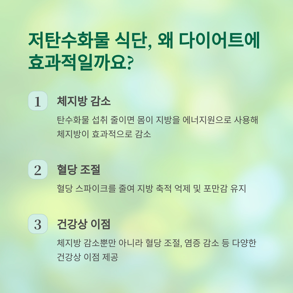 저탄수화물 식단, 왜 다이어트에 효과적일까요?