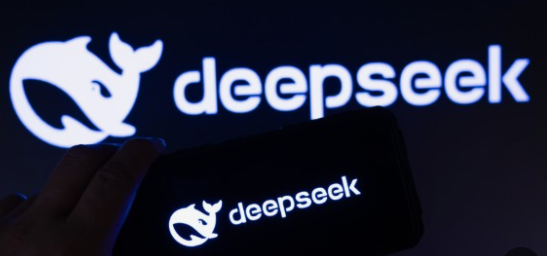 딥시크 사진