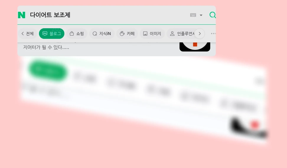 다이어트 보조제_1_subsection