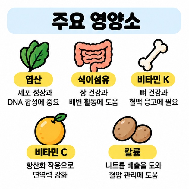 아스파라거스의 주요 영양소인 엽산, 식이섬유, 비타민 K, 비타민 C, 칼륨을 정리한 카드