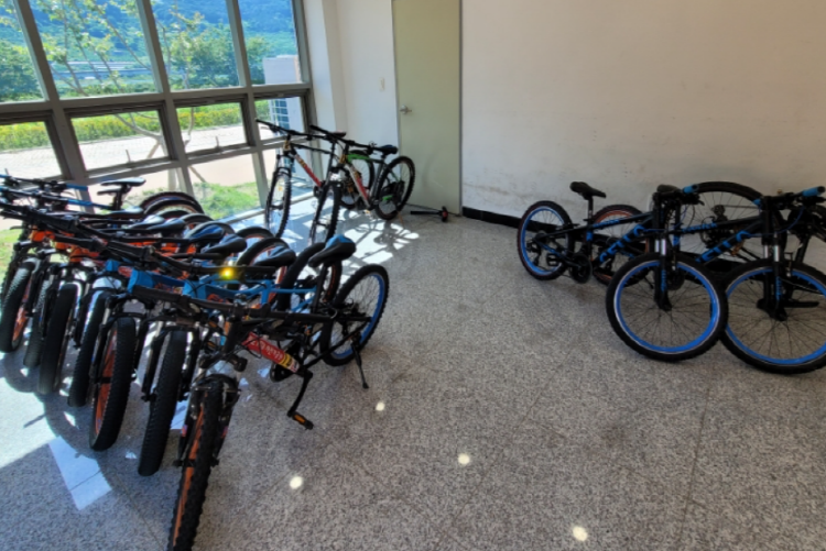 청도 레일바이크