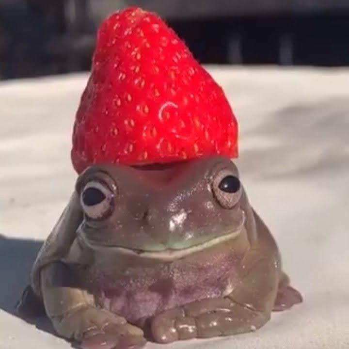 경칩