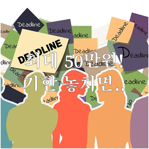 최대 50만원 과태료 주의! 자동차 ..