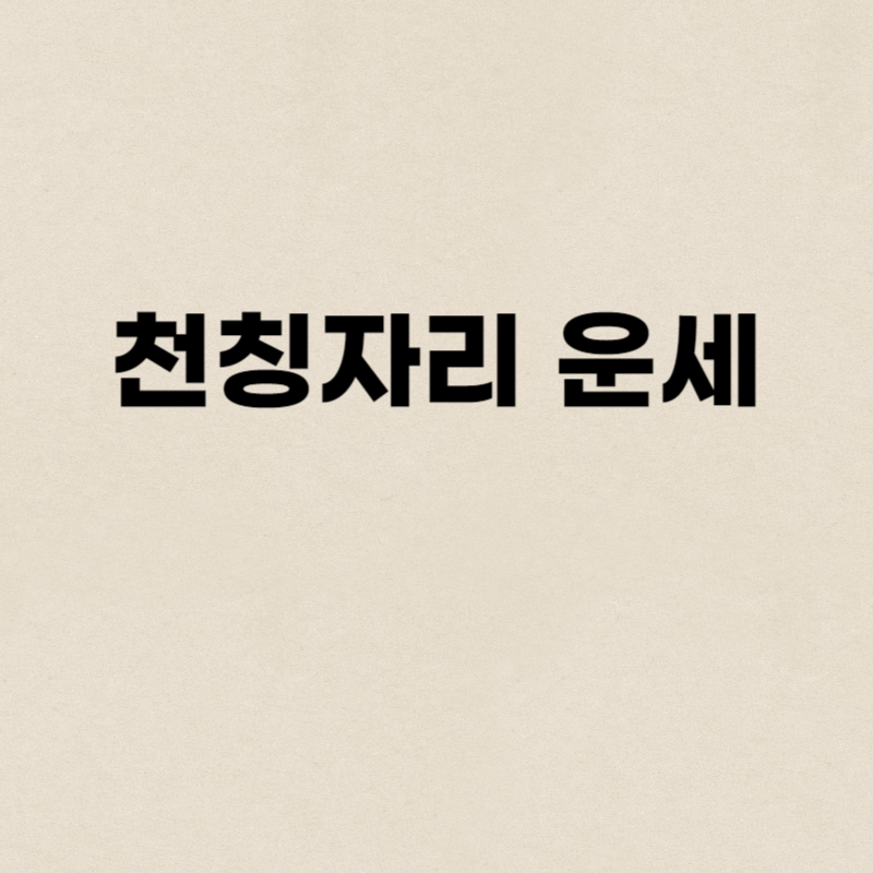 천칭자리 운세