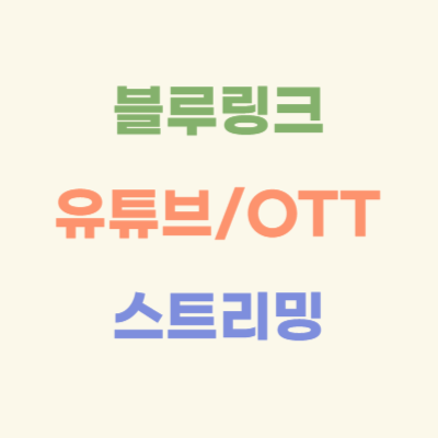 블루링크-비디오-스트리밍-서비스