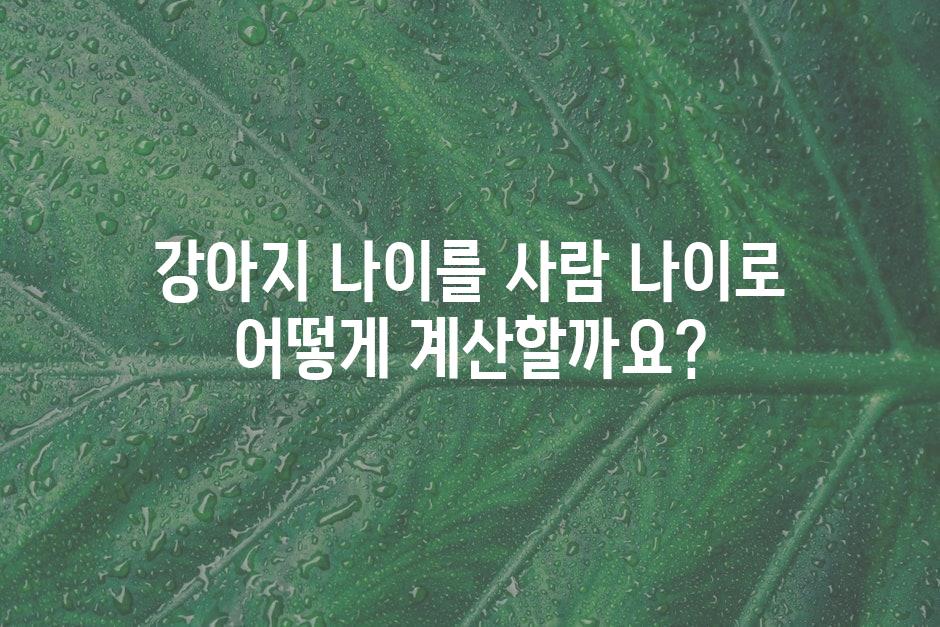 샘플 (44)