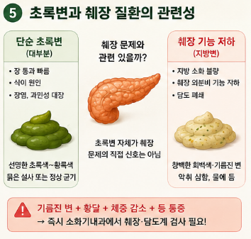 성인-초록색변-복통-원인-설사-냄새-췌장