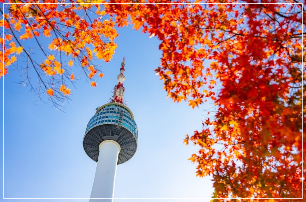 서울 가볼만한곳 베스트10 N서울타워(남산서울타워)