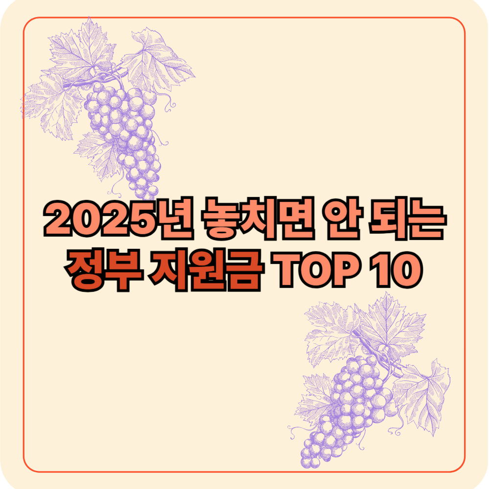 2025년 놓치면 안 되는 정부 지원금 TOP 10