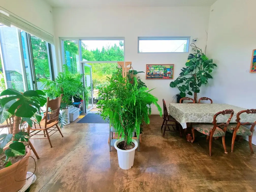 강화도 메타포레스트 수도권 숲 카페: 메타세콰이어 숲 속 연못이 있는 커피, 디저트 맛집, 주차