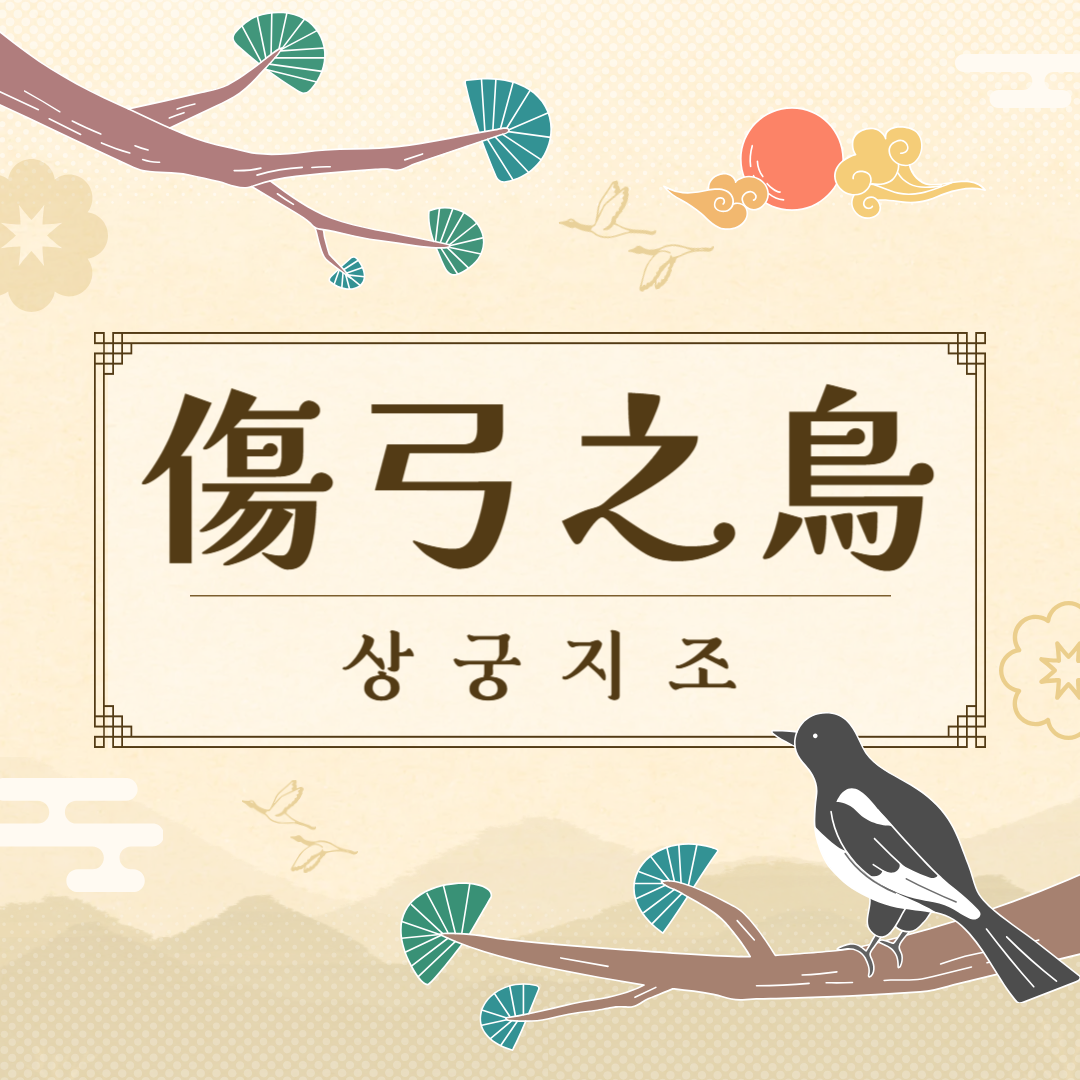 상궁지조