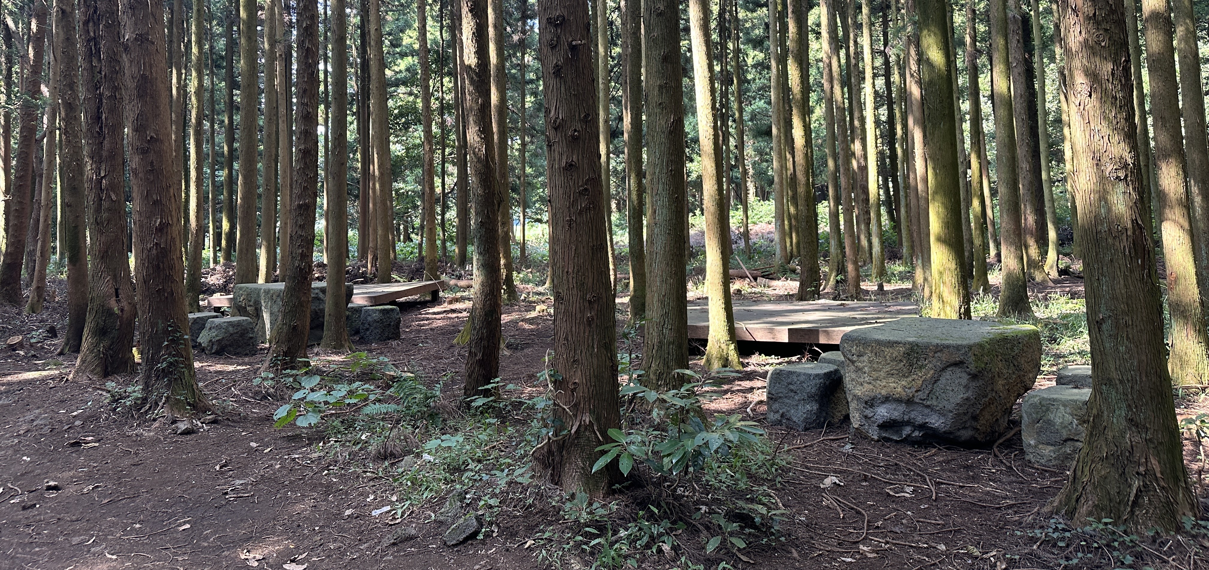 괭이모루 숲길 산책로