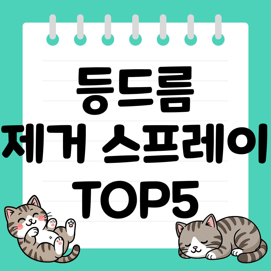25년 9월 1주차 등드름 제거 스프레이 추천 순위 TOP5
