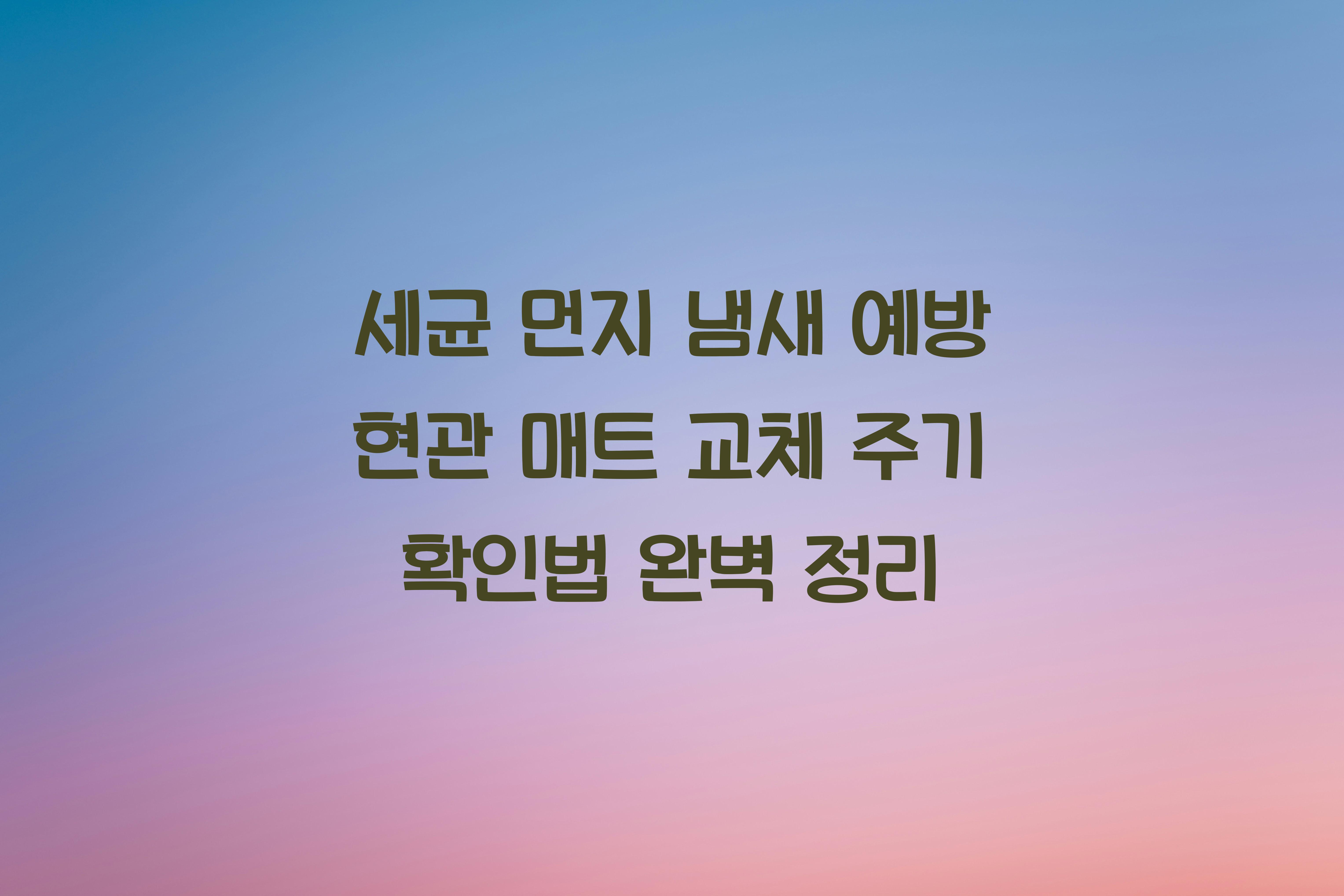현관 매트 교체 주기 확인법